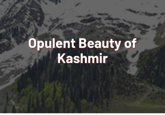 Srinagar, Pahalgam, Gulmarg  Kashmir Trip 